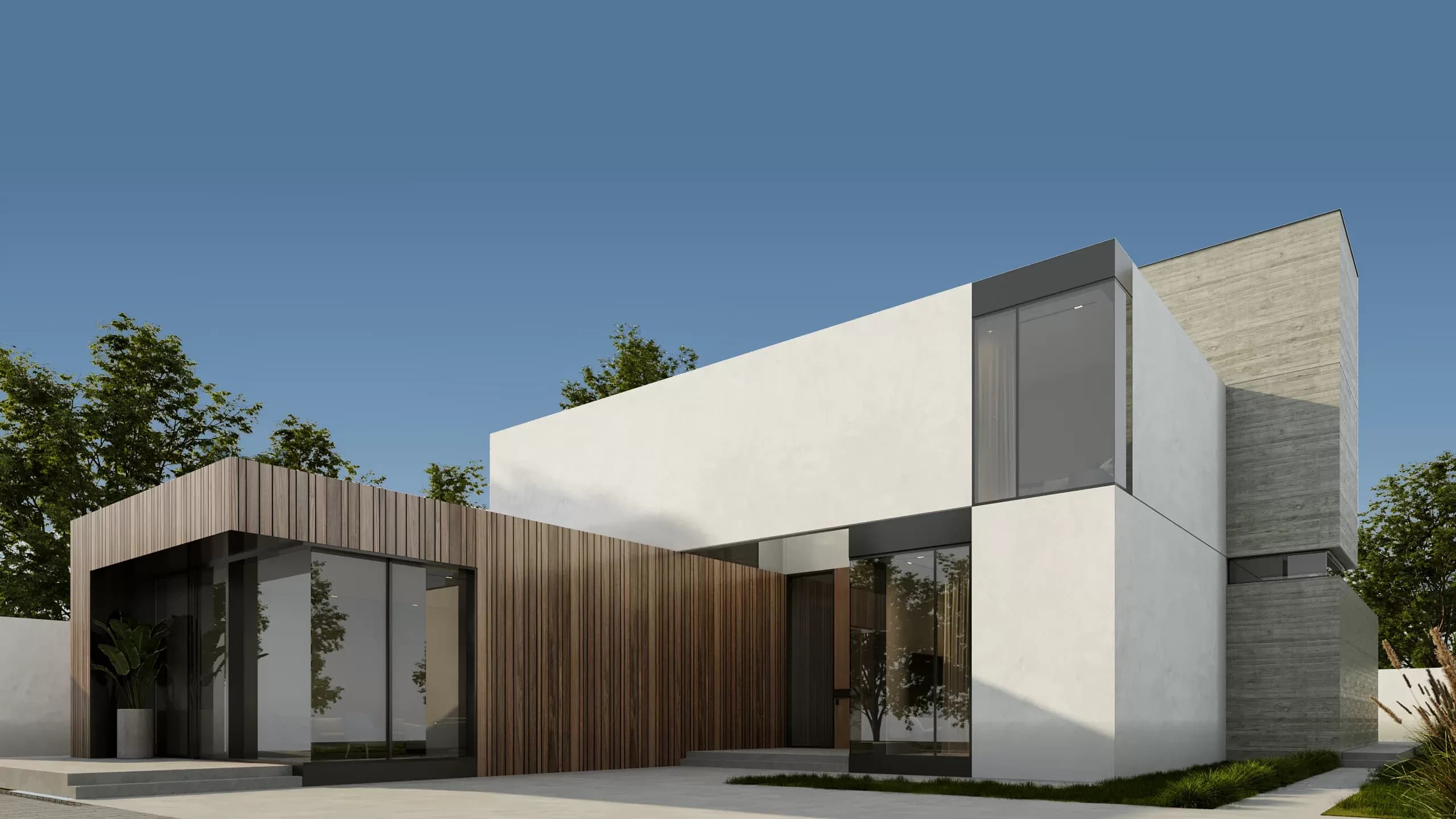 Project Image 1